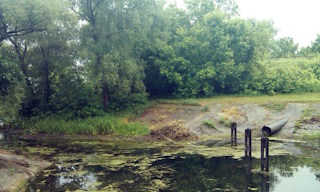Экологические услуги от ПромМир-Нвл в Новоалтайске - стоимость от 12269 руб.