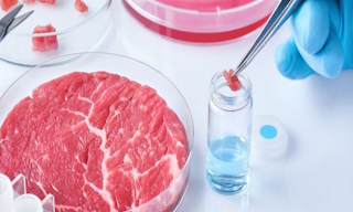 Лабораторный анализ пищевых продуктов по СанПиН в Новоалтайске в октябре